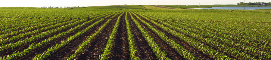 header-agriculture